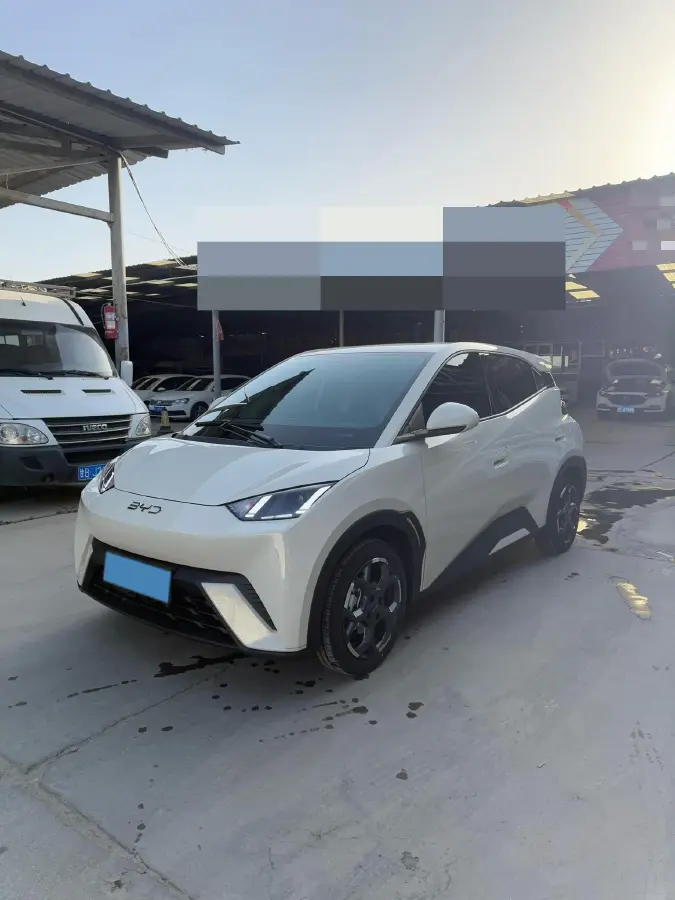 2024 BYD Seagull BEV 30.08KWH