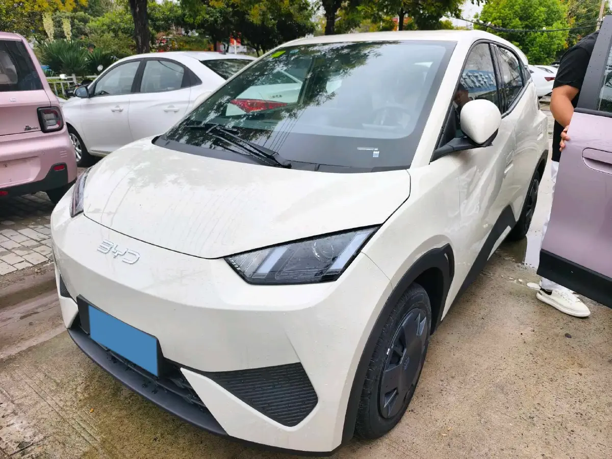 2025 BYD Seagull BEV 30.08KWH