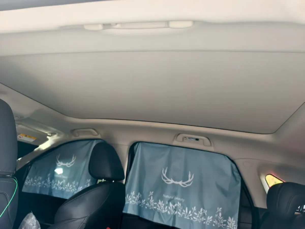 2023 Haval Fierce Dragon 1.5L 101HP L4 2DHT PHEV 19.27KWH,autocango,china used car exporter,china ev exporter,chinese used car exporter,chinese used ev exporter