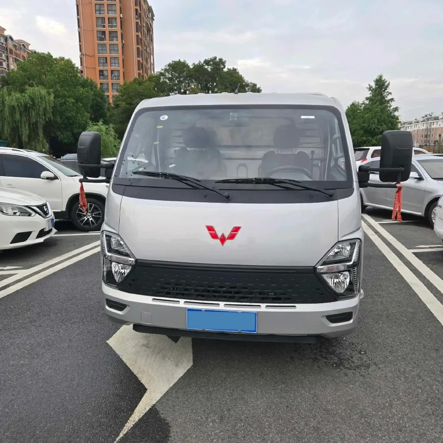 2023 WuLing Loong Truck 2.0L 136HP L4 5MT,autocango,china used car exporter,china ev exporter,chinese used car exporter,chinese used ev exporter