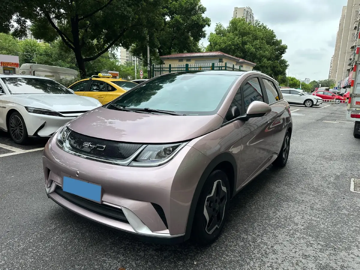 2021 BYD Dolphin BEV 44.9KWH