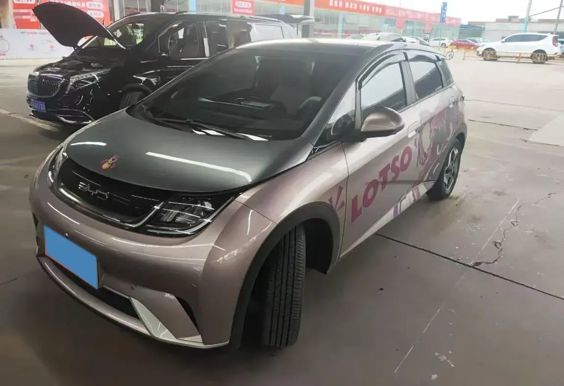 2021 BYD Dolphin BEV 44.9KWH