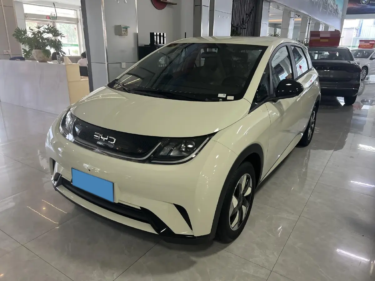 2025 BYD Dolphin BEV 44.928KWH