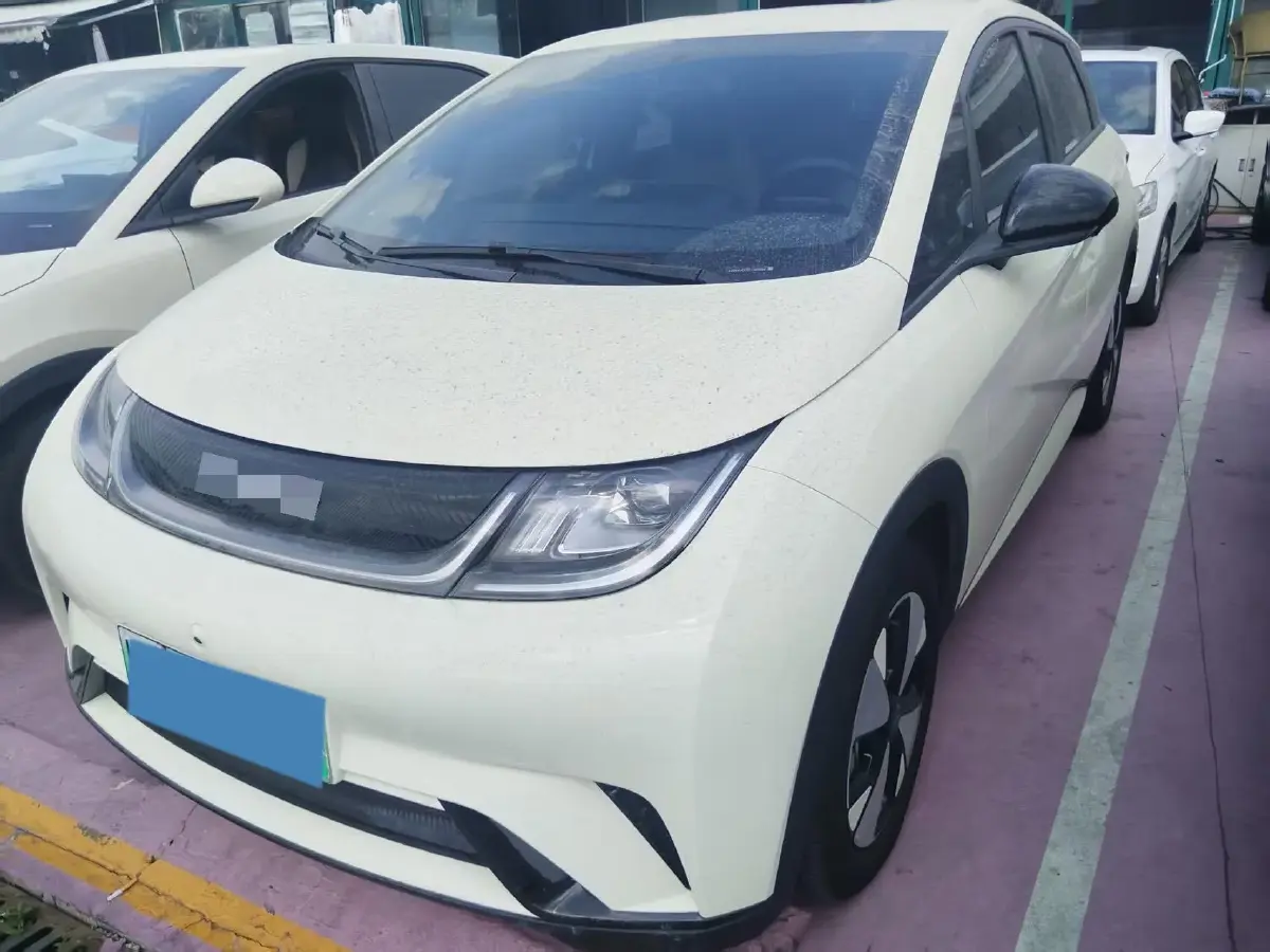 2023 BYD Dolphin BEV 44.928KWH