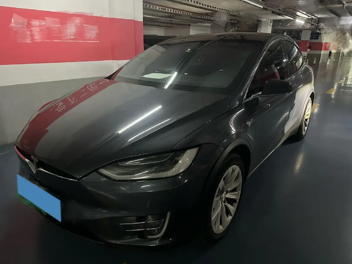 2019 Tesla Model X BEV 100KWH