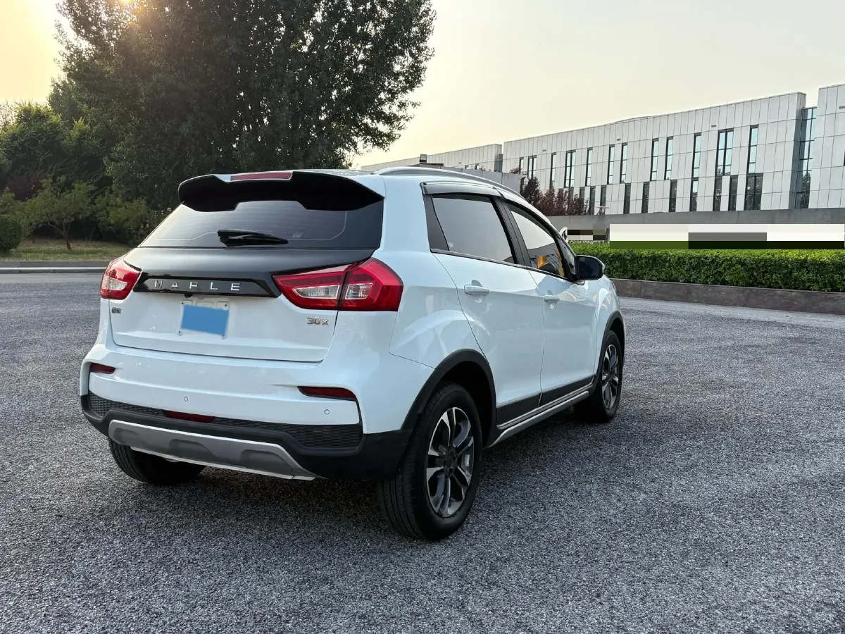 2020 Livan Maple 30X BEV 37KWH,autocango,china used car exporter,china ev exporter,chinese used car exporter,chinese used ev exporter