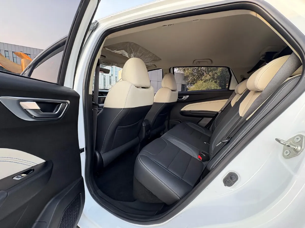 2020 Livan Maple 30X BEV 37KWH,autocango,china used car exporter,china ev exporter,chinese used car exporter,chinese used ev exporter