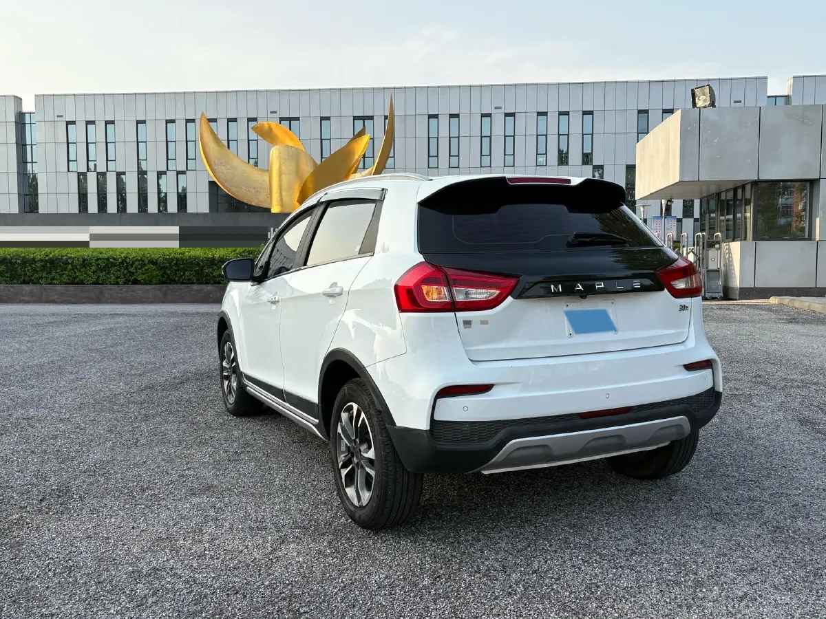 2020 Livan Maple 30X BEV 37KWH,autocango,china used car exporter,china ev exporter,chinese used car exporter,chinese used ev exporter