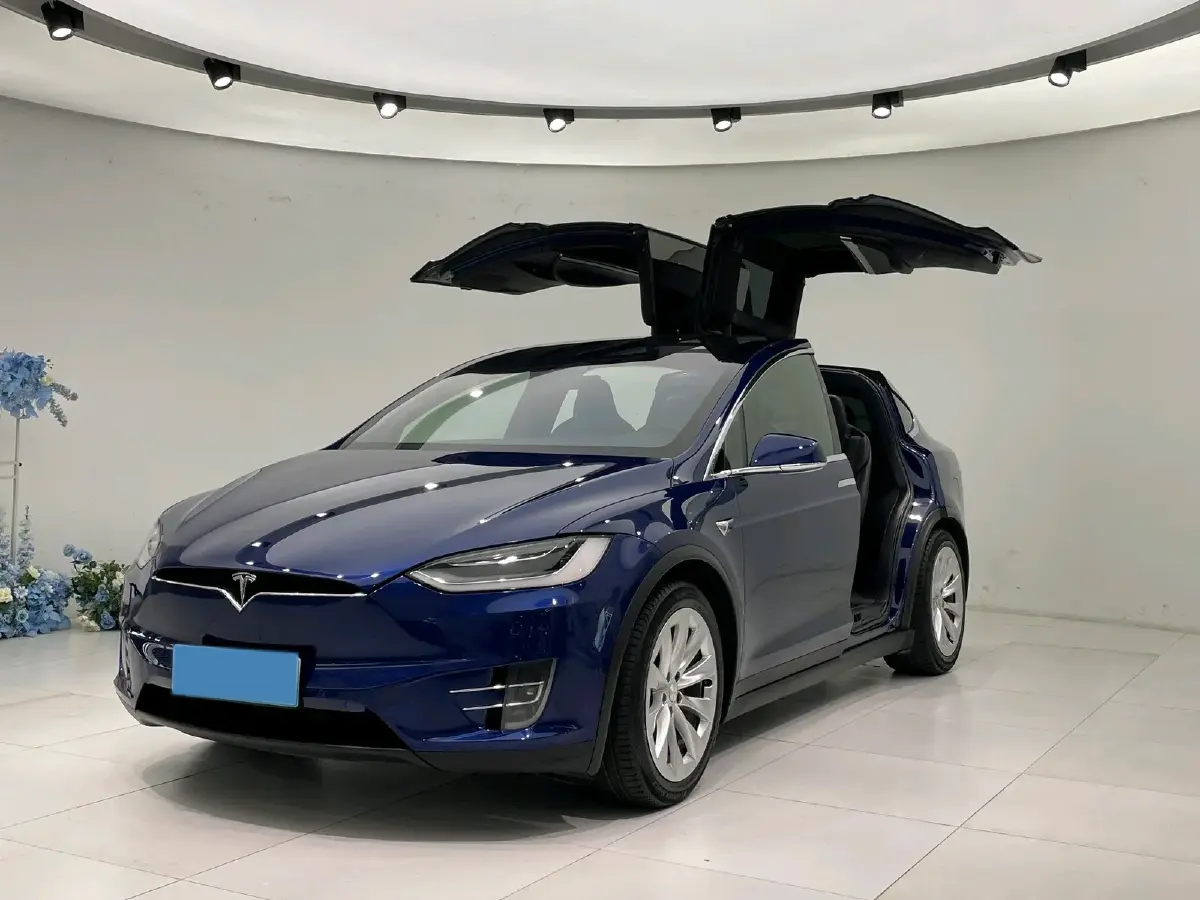 2017 Tesla Model X BEV 100KWH