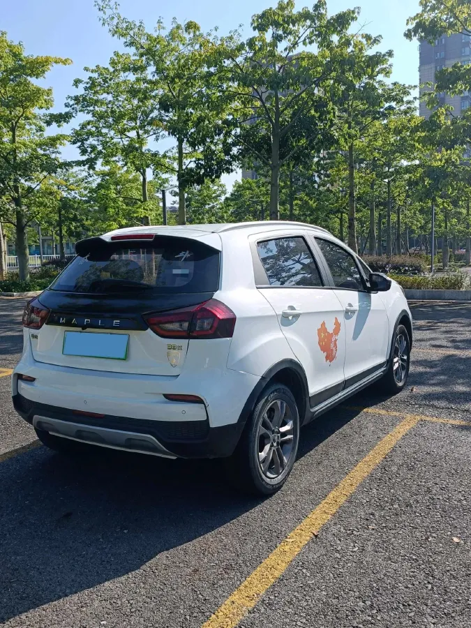 2020 Livan Maple 30X BEV 37KWH,autocango,china used car exporter,china ev exporter,chinese used car exporter,chinese used ev exporter