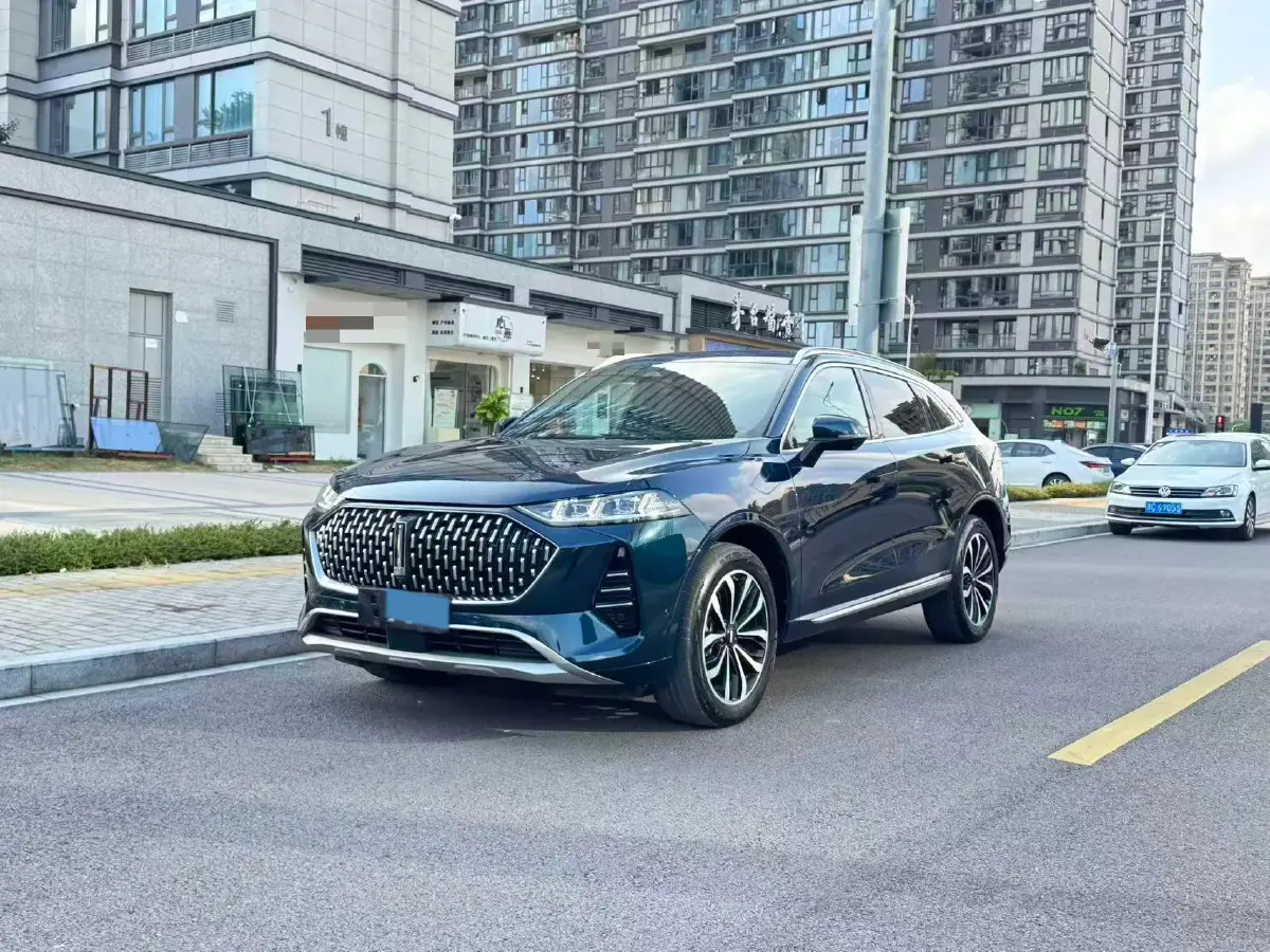 2021 WEY Mocha 2.0T 214HP L4 9DCT