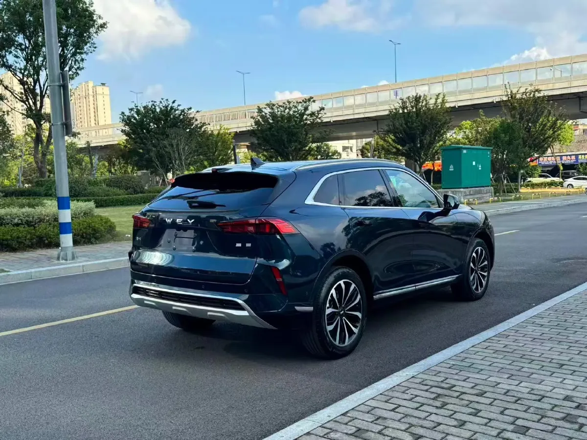 2021 WEY Mocha 2.0T 214HP L4 9DCT,autocango,china used car exporter,china ev exporter,chinese used car exporter,chinese used ev exporter