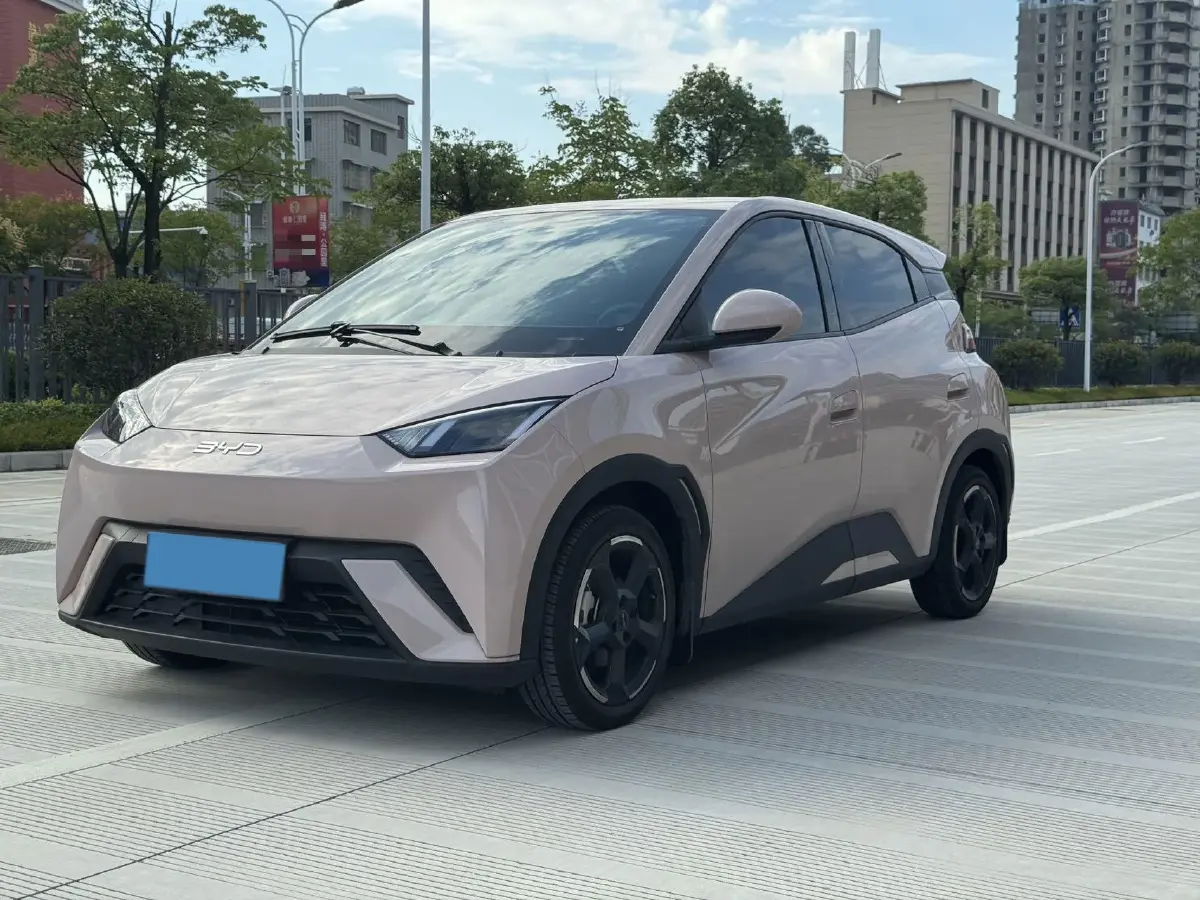 2024 BYD Seagull BEV 30.08KWH