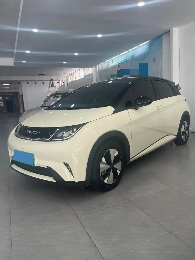 2023 BYD Dolphin BEV 44.928KWH