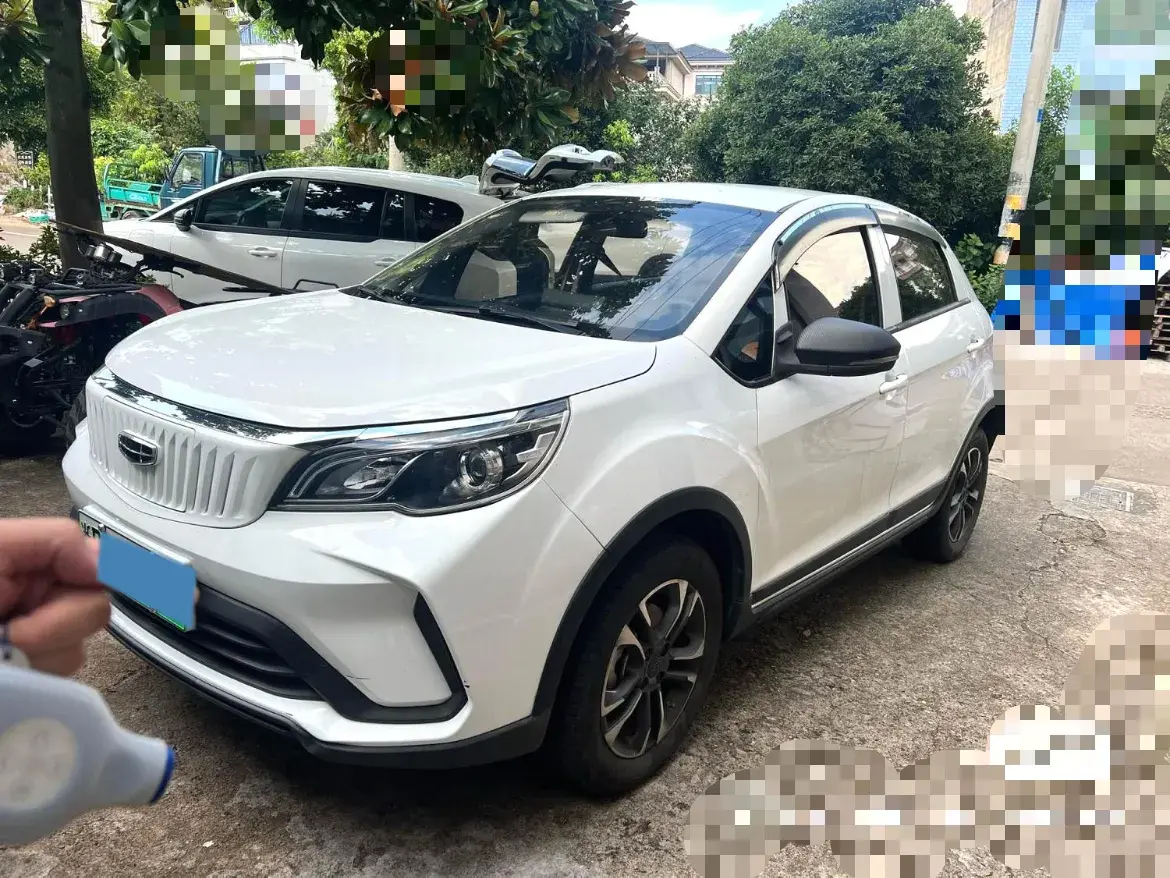 2021 Geometry EX3 BEV 37.23KWH