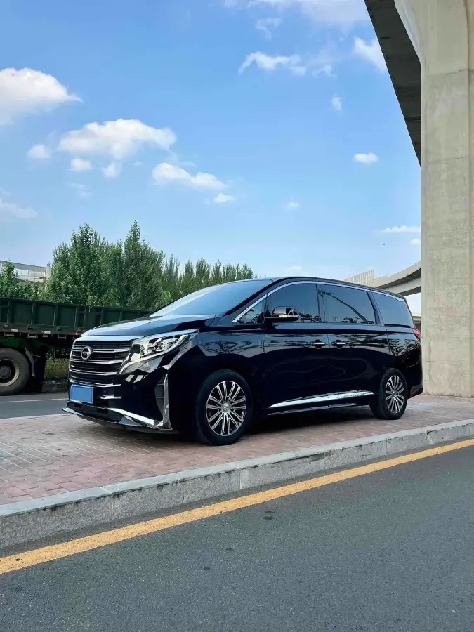 2021 GAC Trumpchi M8 2.0T 252HP L4 8AT