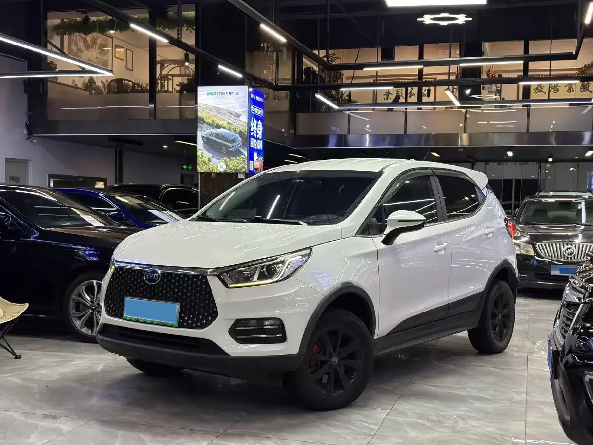 2019 BYD S2 BEV 40.62KWH