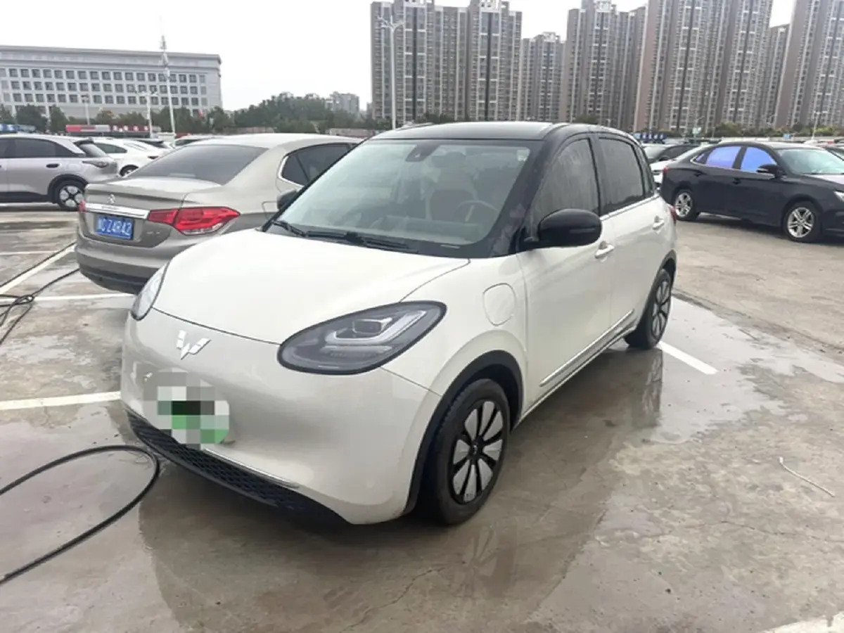2023 WuLing BinGuo BEV 31.9KWH