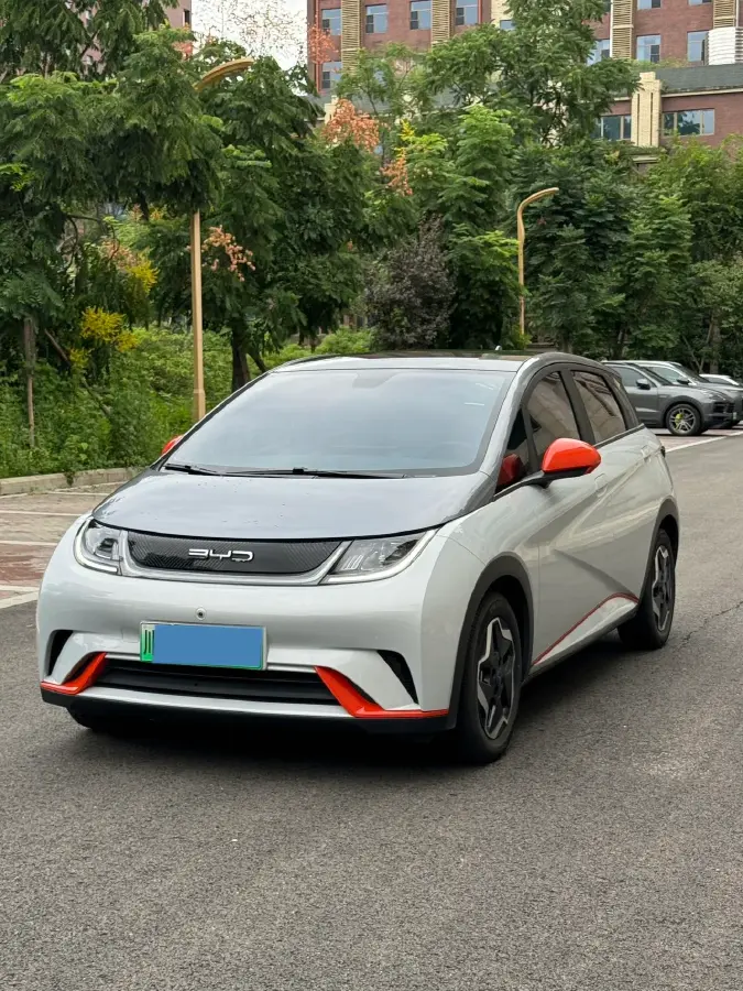 2021 BYD Dolphin BEV 44.9KWH