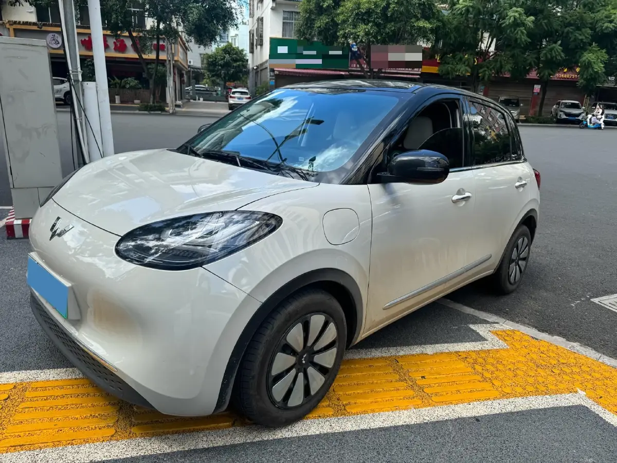 2025 WuLing BinGuo BEV