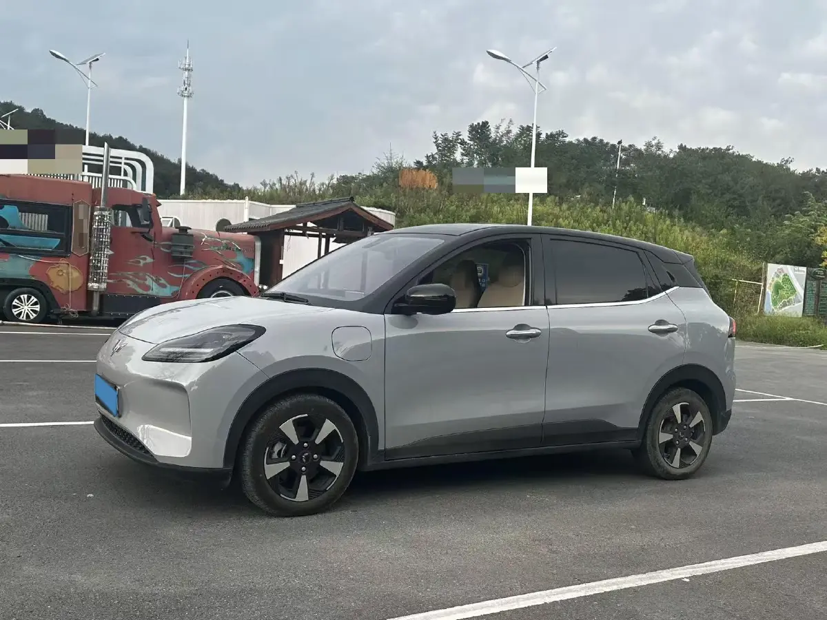 2024 WuLing BinGuoPLUS BEV 50.6KWH