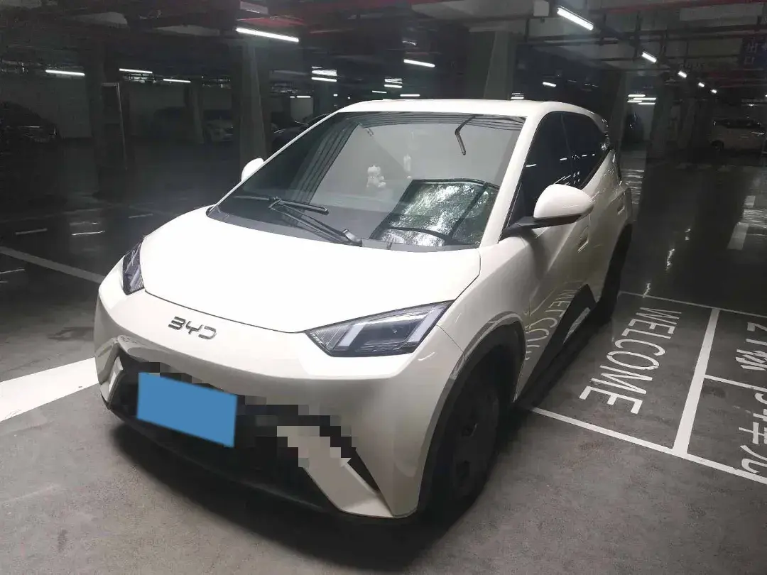 2023 BYD Seagull BEV 30.08KWH