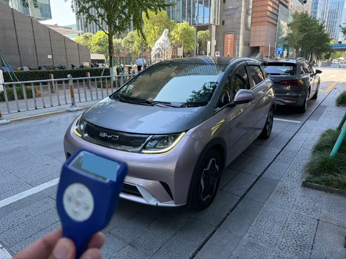 2023 BYD Dolphin BEV 44.928KWH