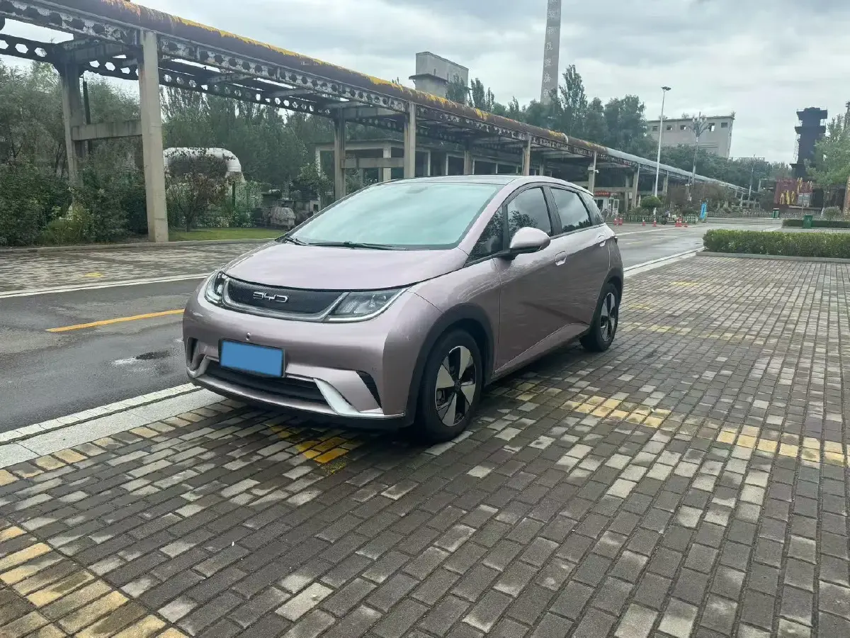2021 BYD Dolphin BEV 44.9KWH