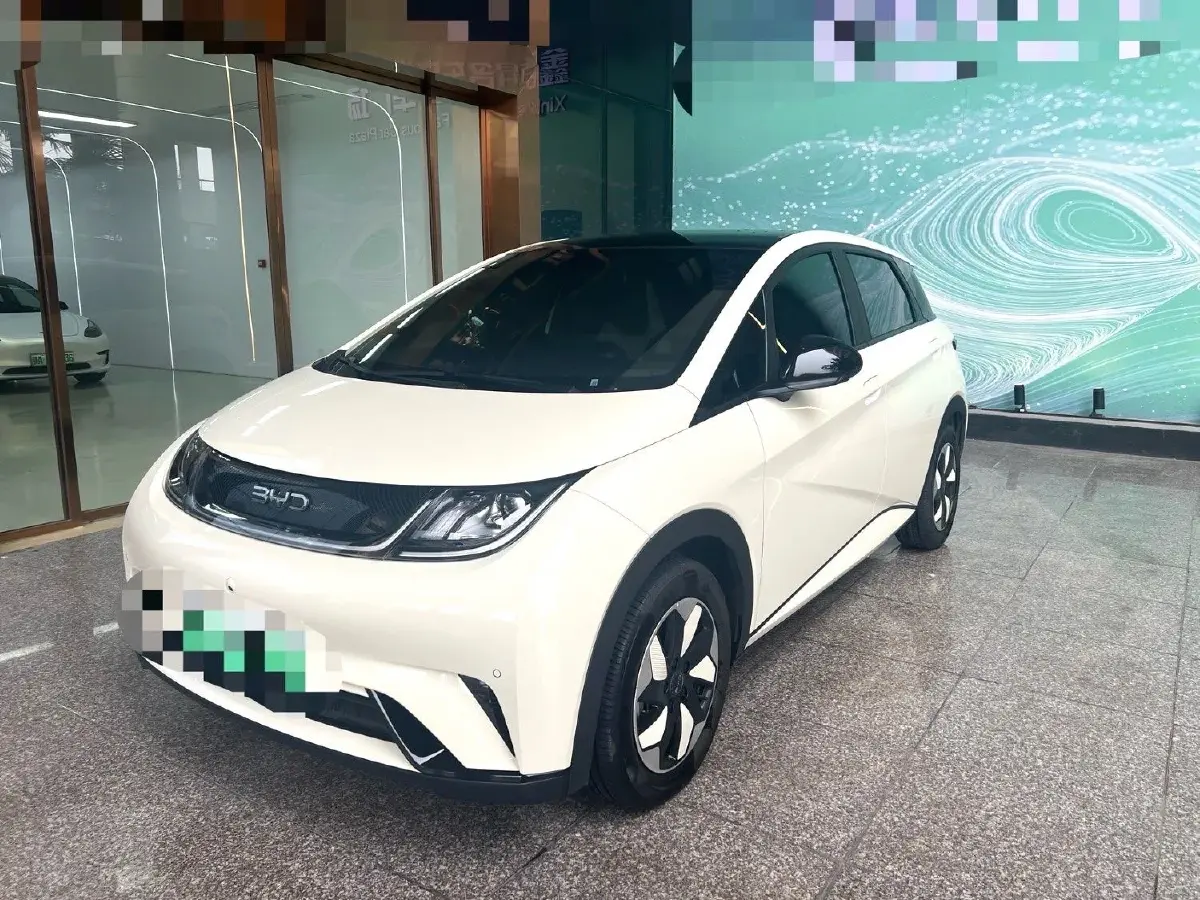 2024 BYD Dolphin BEV 44.928KWH