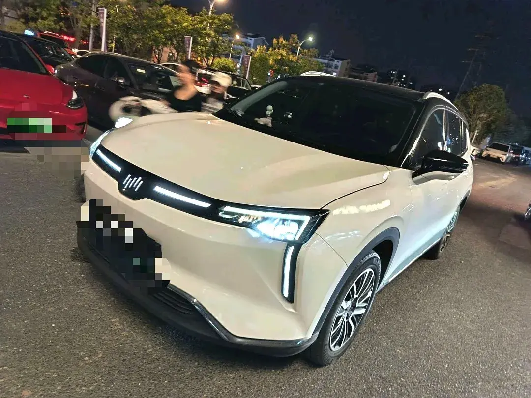 2021 Weltmeister W6 BEV 66.231KWH