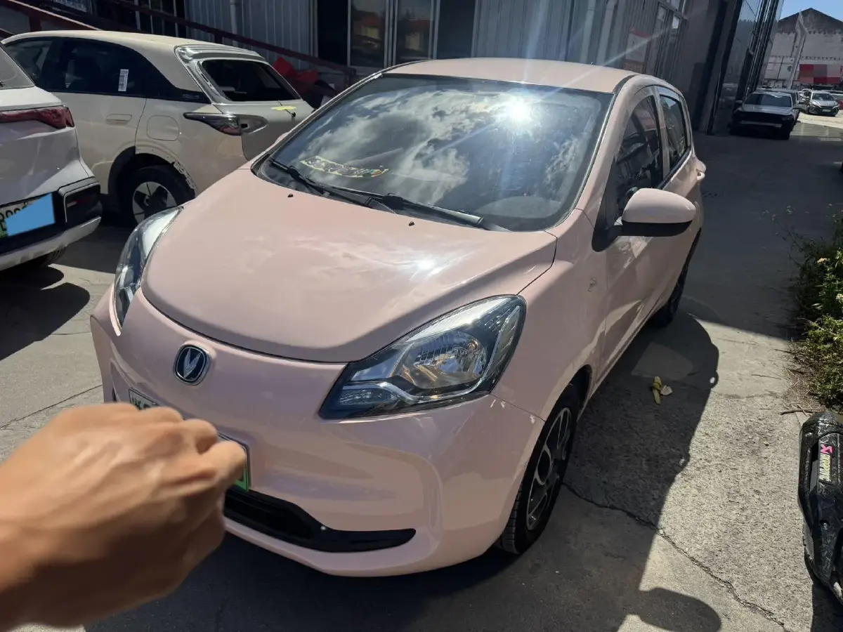 2021 ChangAn BenBen E-Star BEV 31.95KWH