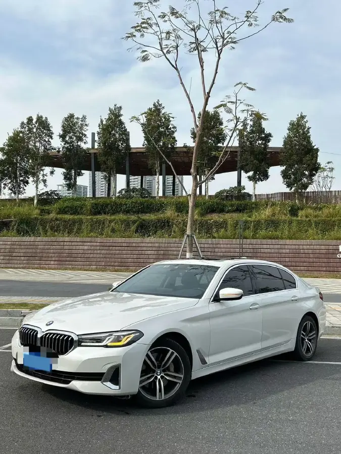 2020 BMW 5 Series 2.0T 252HP L4 8AT