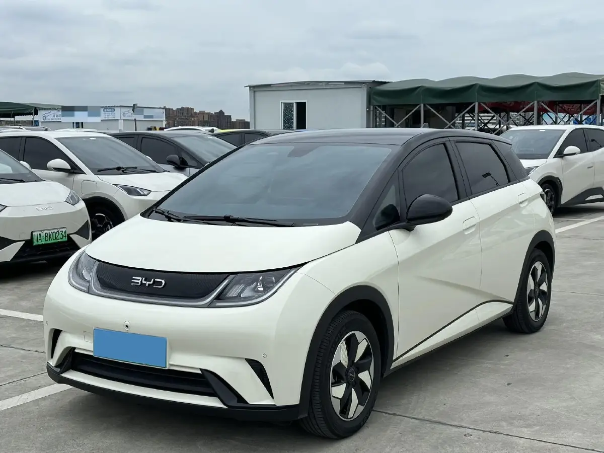 2024 BYD Dolphin BEV 44.928KWH