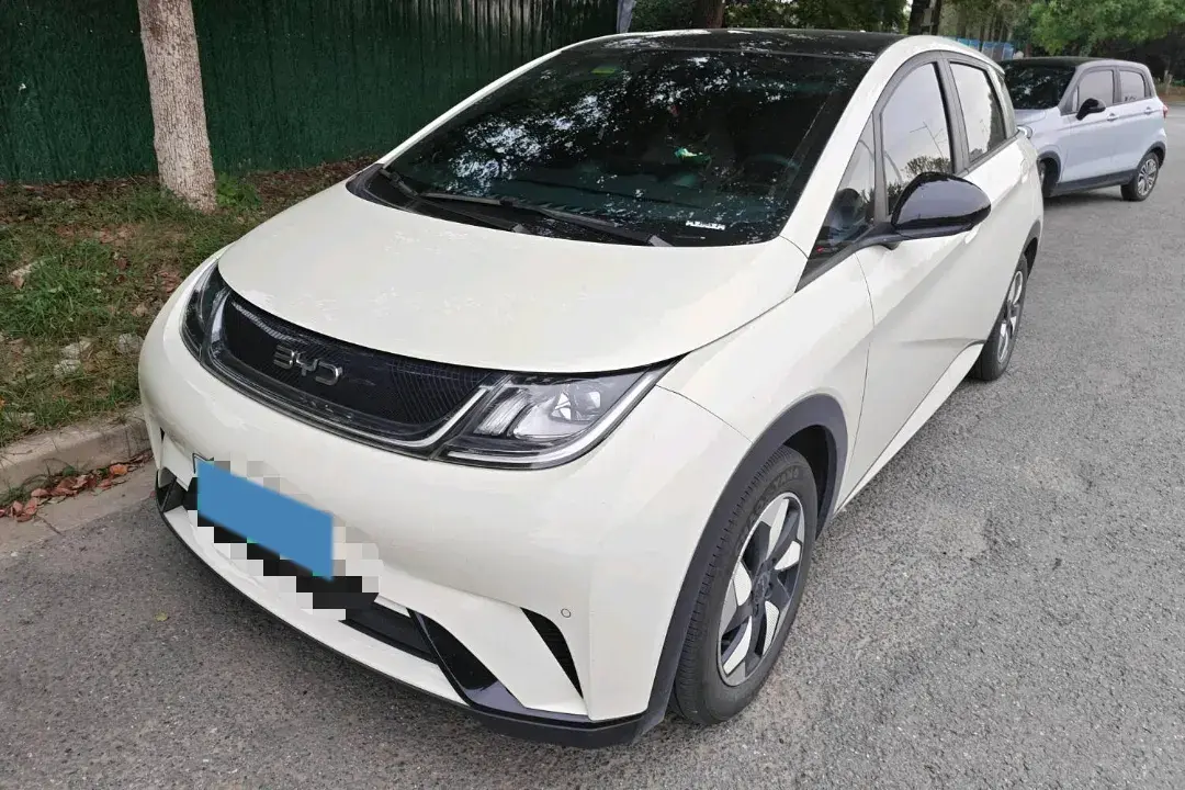 2024 BYD Dolphin BEV 44.928KWH