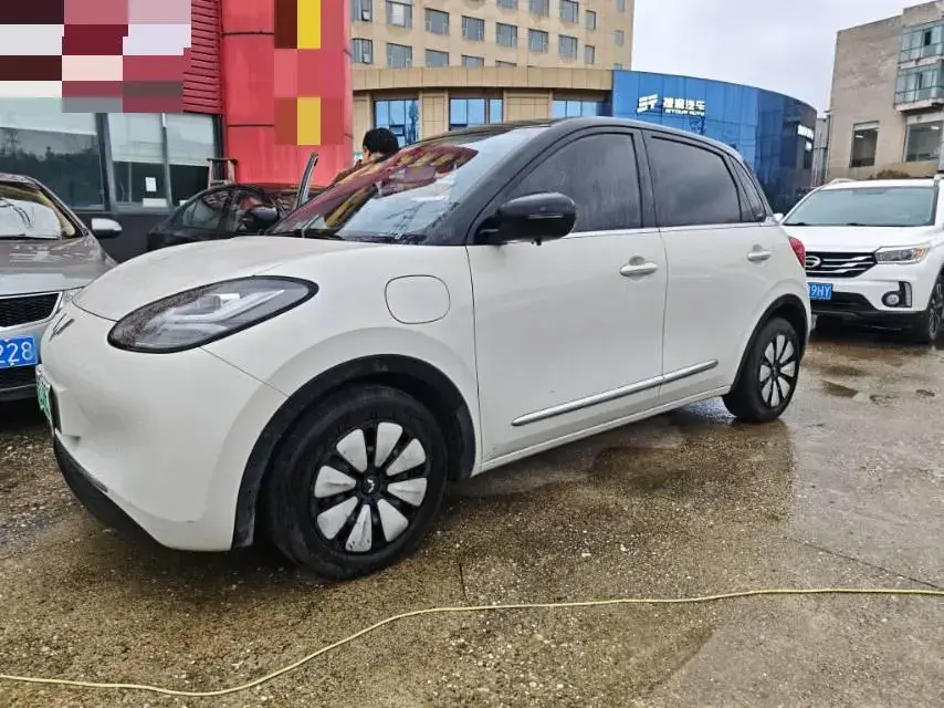 2023 WuLing BinGuo BEV 37.9KWH