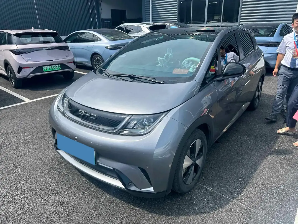 2023 BYD Dolphin BEV 44.928KWH