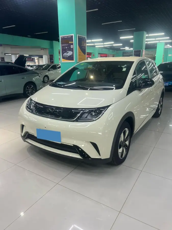 2025 BYD Dolphin BEV 44.928KWH