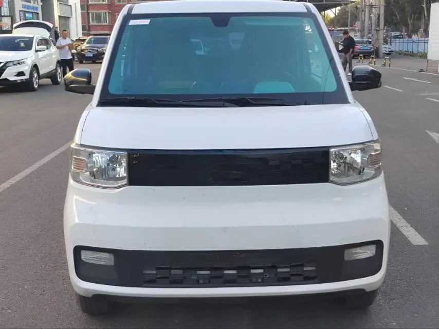 2021 WuLing HongGuang MINI EV BEV 9.3KWH,autocango,china used car exporter,china ev exporter,chinese used car exporter,chinese used ev exporter