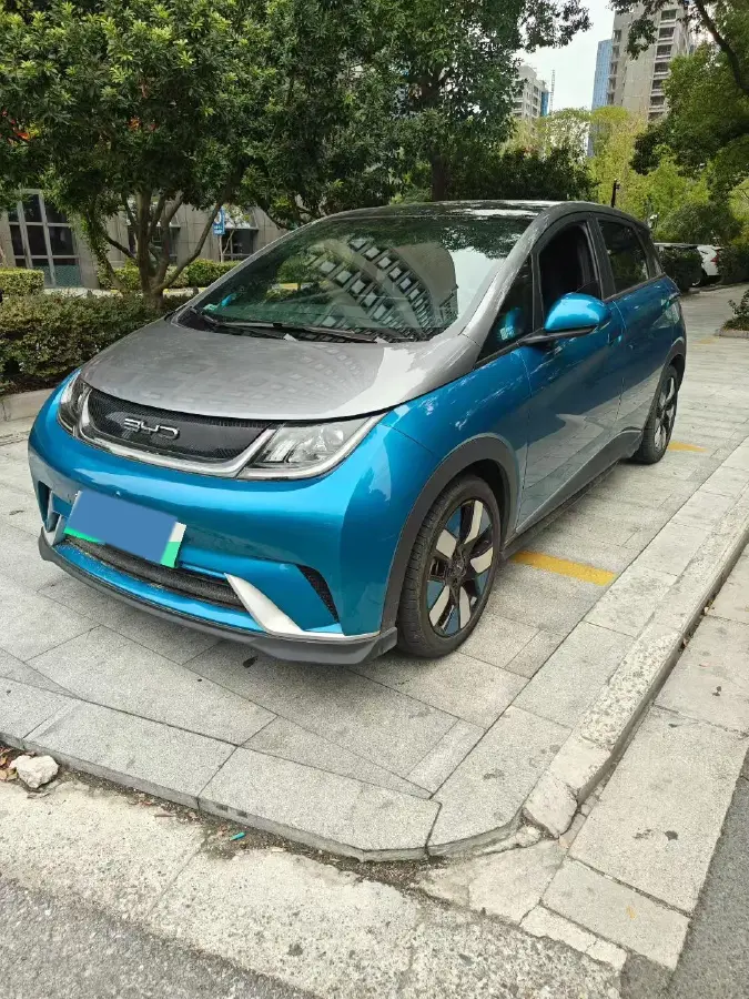 2023 BYD Dolphin BEV 44.928KWH
