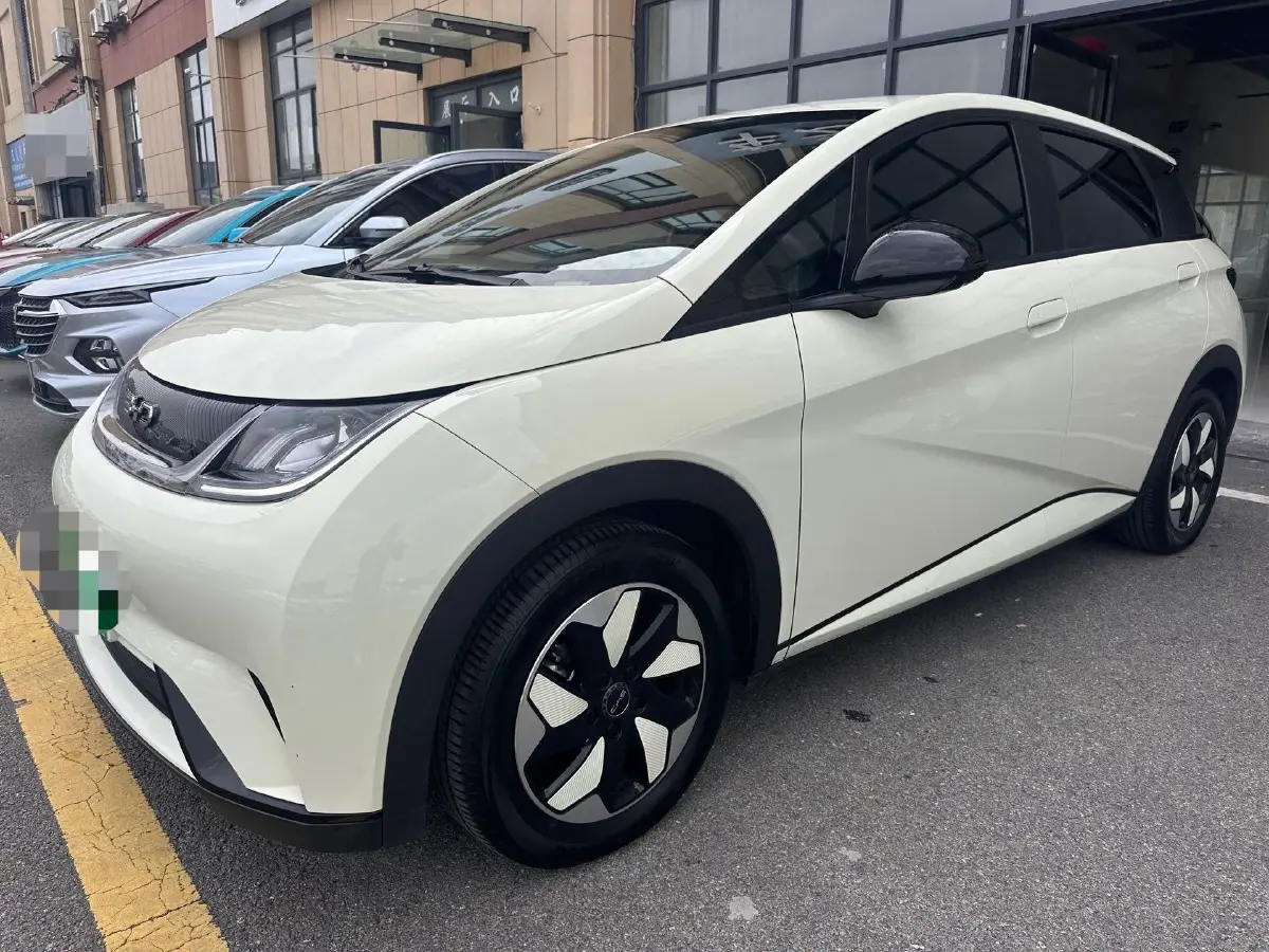 2024 BYD Dolphin BEV 44.928KWH