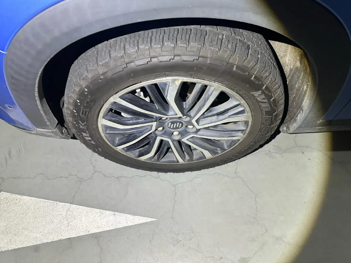 2021 Weltmeister W6 BEV 66.231KWH,autocango,china used car exporter,china ev exporter,chinese used car exporter,chinese used ev exporter