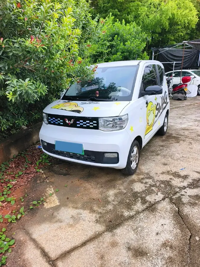 2020 WuLing HongGuang MINI EV BEV 9.3KWH