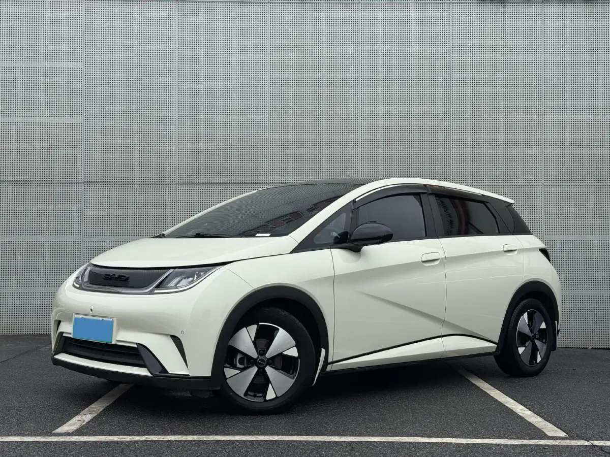 2024 BYD Dolphin BEV 44.928KWH