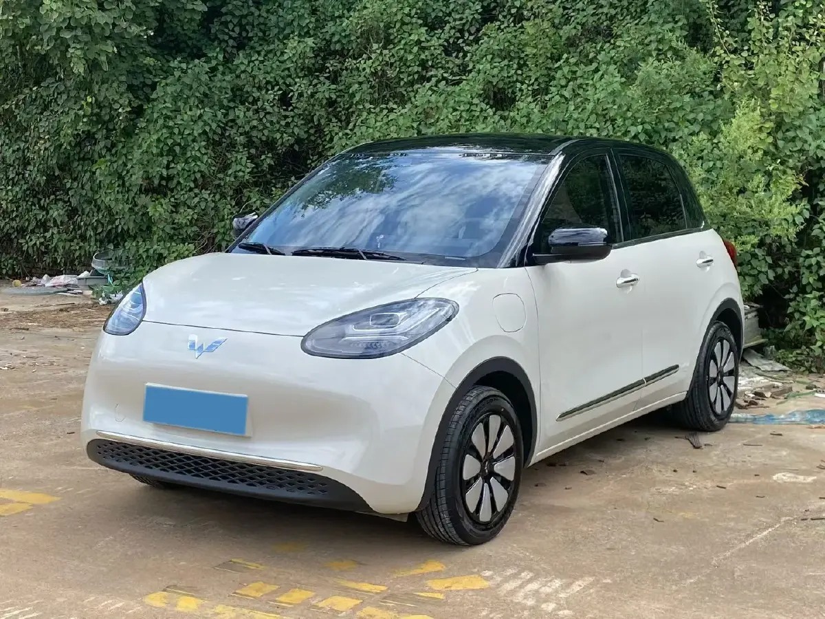 2023 WuLing BinGuo BEV 31.9KWH