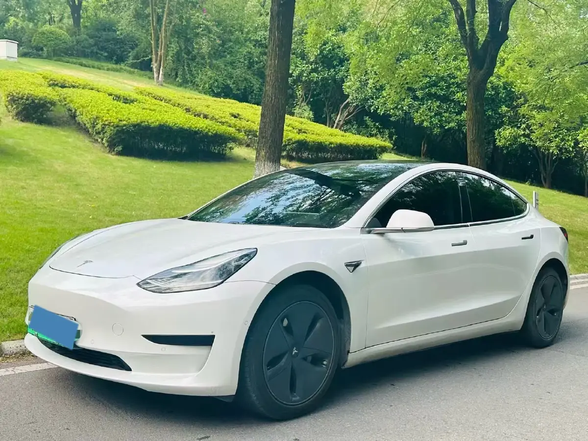 2019 Tesla Model 3 BEV 52KWH