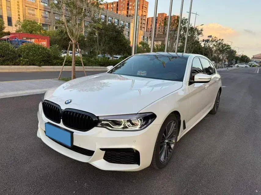 2020 BMW 5 Series 2.0T 252HP L4 8AT