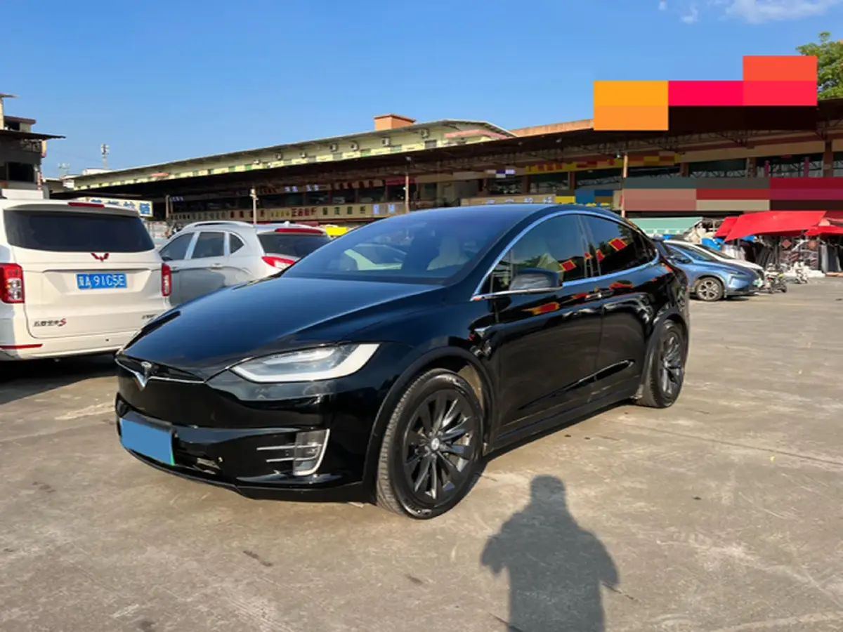 2019 Tesla Model X BEV 100KWH