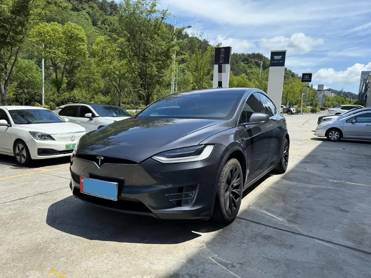 2019 Tesla Model X BEV 100KWH