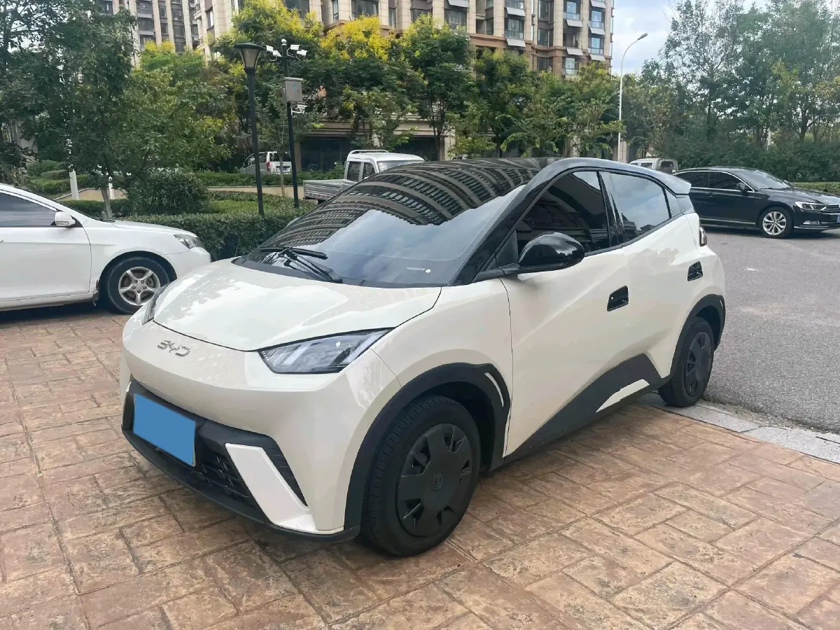 2025 BYD Seagull BEV 30.08KWH