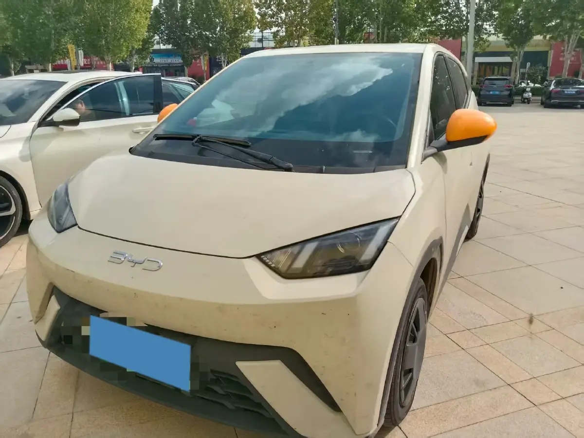 2024 BYD Seagull BEV 30.08KWH